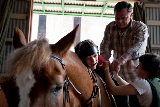 Метод. Иппотерапия и другие методы, использующие лошадей в развитии, адаптации и социализации детей с РАС