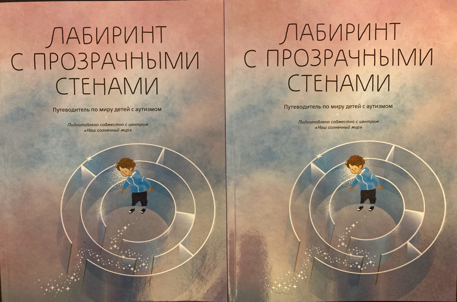 «Лабиринт с прозрачными стенами» (путеводитель по миру детей с аутизмом). 