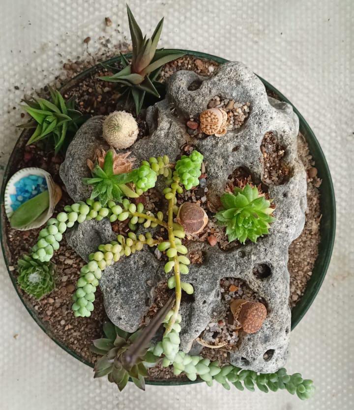 РН. "Флорариум"