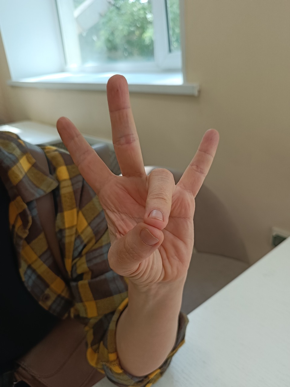 РН. Жестовый язык РН. Жестовый язык