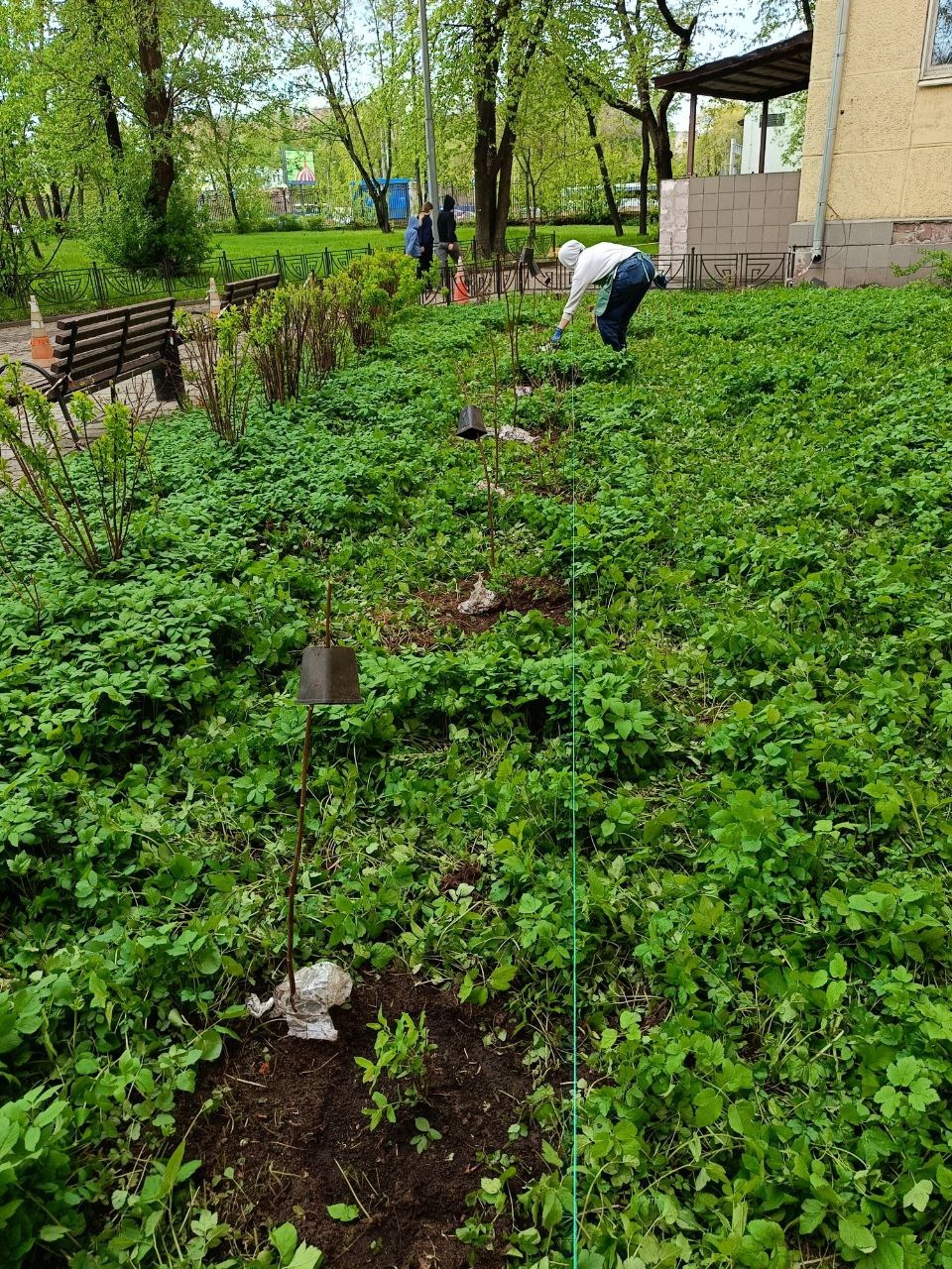 РН. Сад непрерывного цветения 04-2025