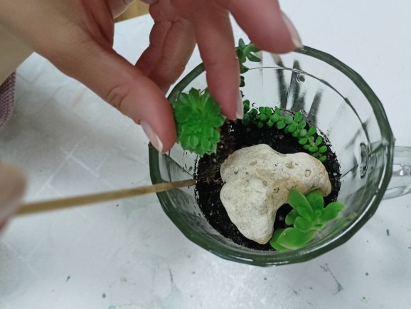 РН. "Флорариум"