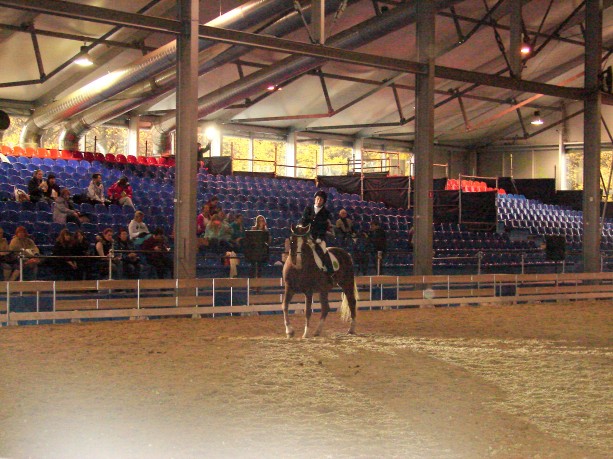 Специалисты нашего Центра приняли участие в Международной всероссийской конной выставке "Эквирос".