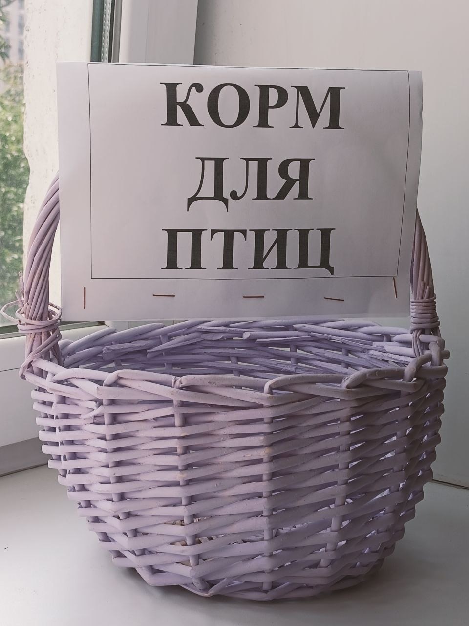 РН. Птицы нашего двора