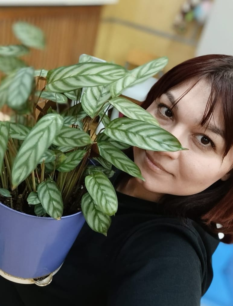 РН. Уход за домашними растениями