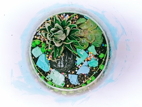 РН. "Флорариум"