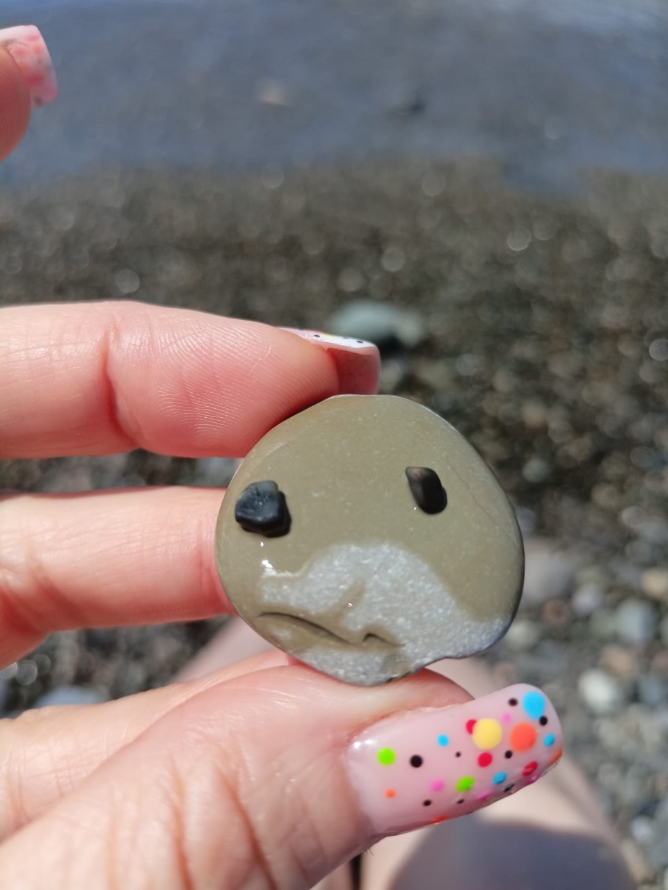 РН. "Флорариум"