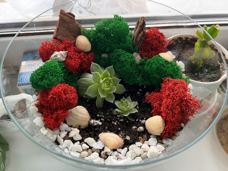 РН. "Флорариум"