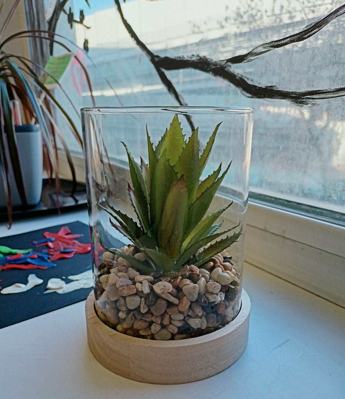 РН. "Флорариум"