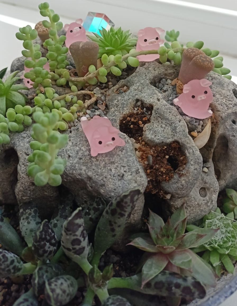 РН. "Флорариум"