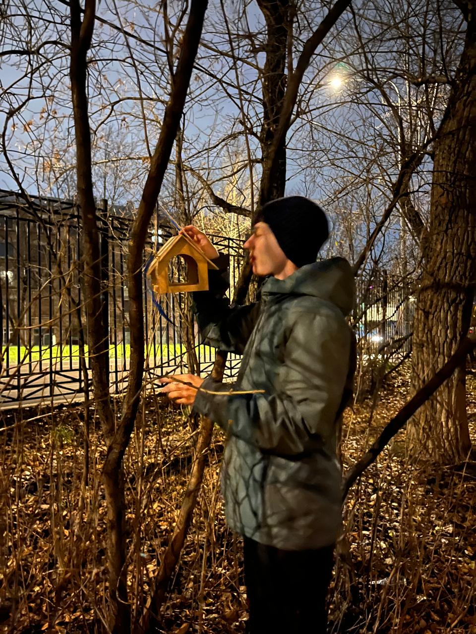 РН. Птицы нашего двора