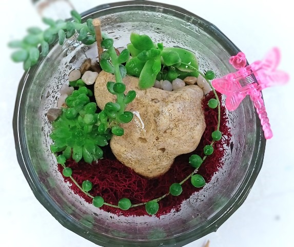 РН. "Флорариум"