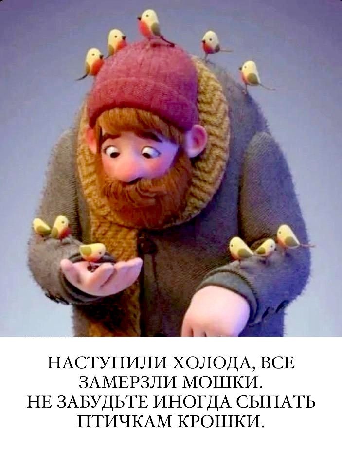 РН. Птицы нашего двора