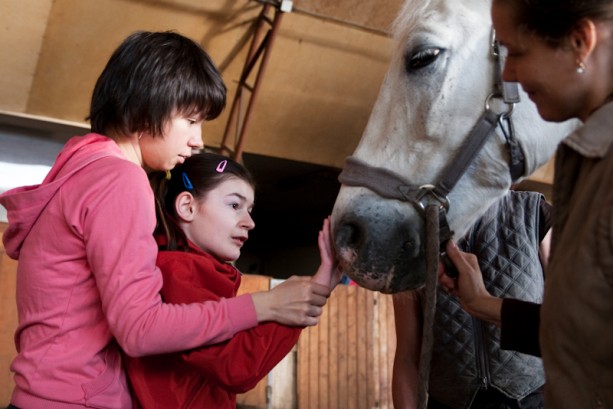 Метод. Иппотерапия и другие методы, использующие лошадей в развитии, адаптации и социализации детей с РАС