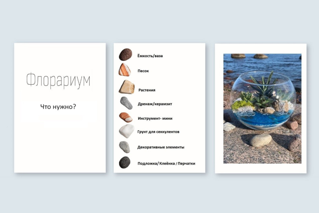 Флорариум внутри.jpg