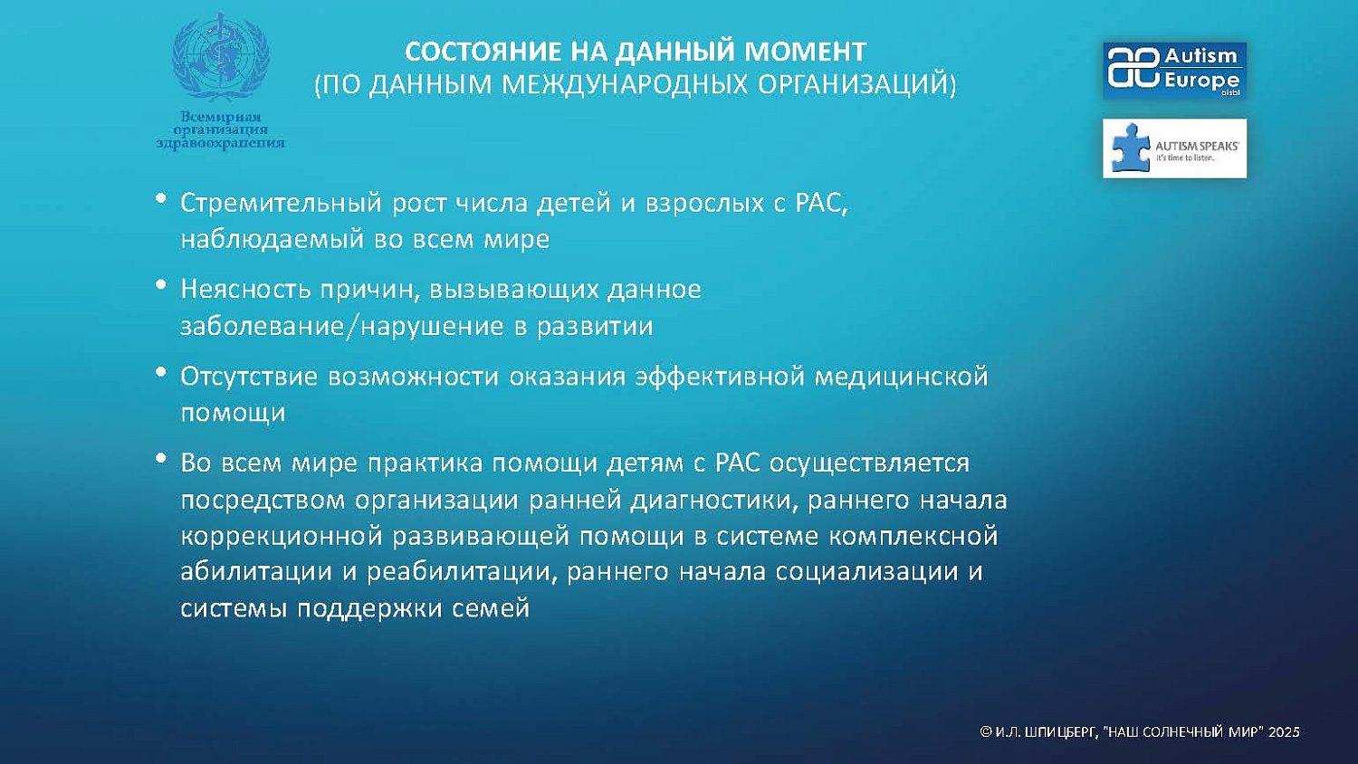 Система непрерывного сопровождения 2026