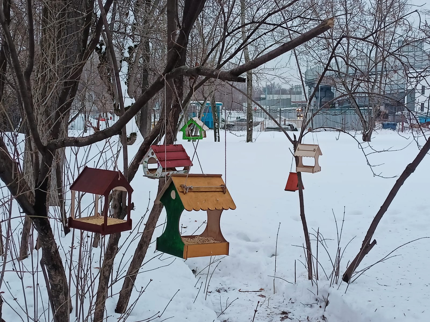 РН. Птицы нашего двора