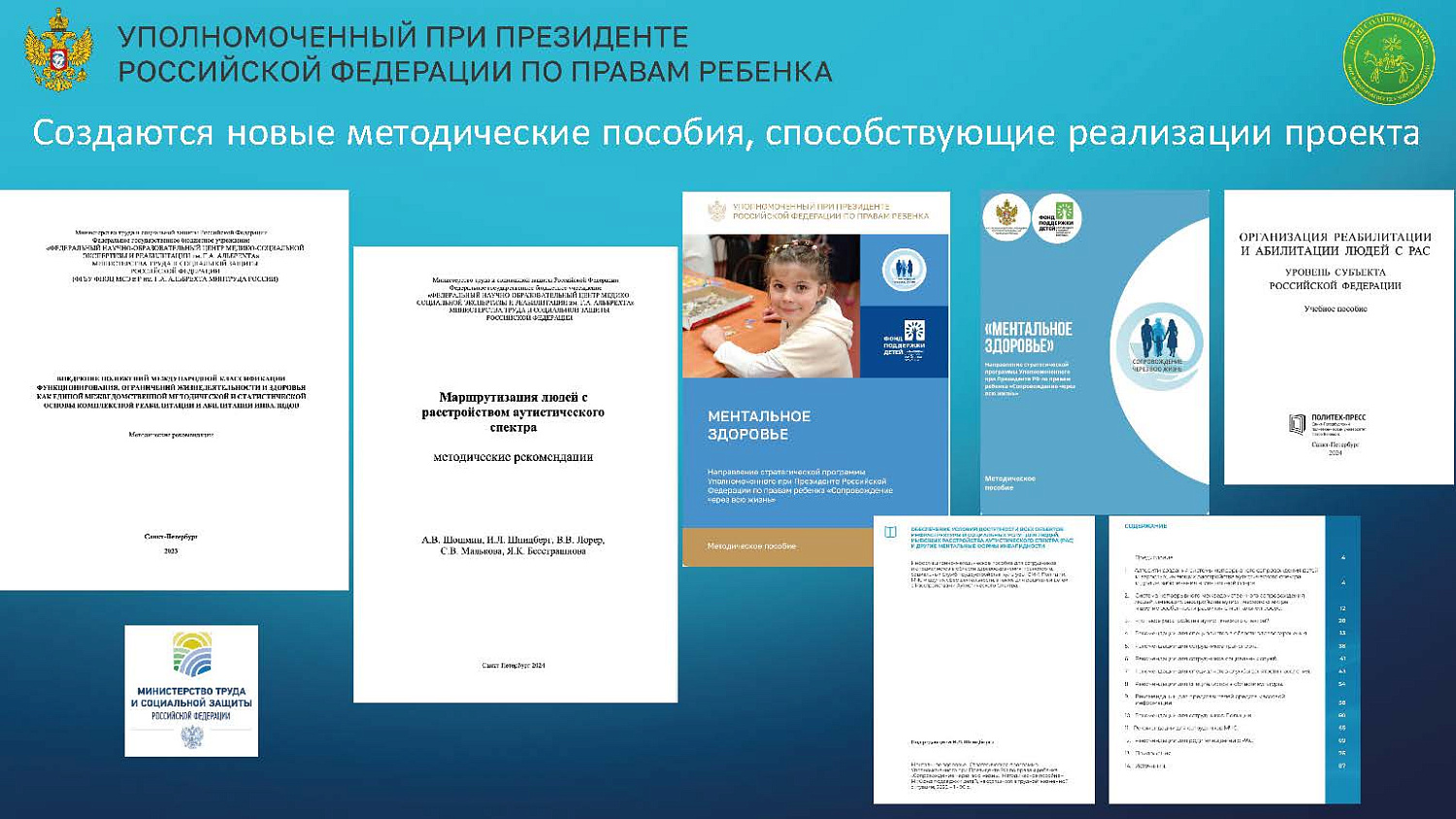 Система непрерывного сопровождения 2026