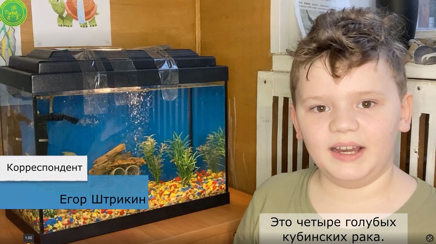 В ЭТОМ ВЫПУСКЕ РЕПОРТАЖА